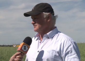 Adolfo Weber:  “Si bien en el campo se usan muchos químicos, en la ciudad se usan tantos o más químicos, solo que están disfrazados”