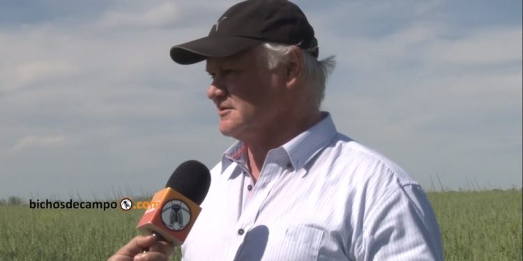 Adolfo Weber:  “Si bien en el campo se usan muchos químicos, en la ciudad se usan tantos o más químicos, solo que están disfrazados”