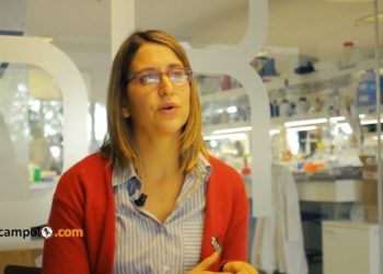 Granja Celular, el primer proyecto local para producir carne de laboratorio, pero aprovechando la tradición ganadera de la Argentina