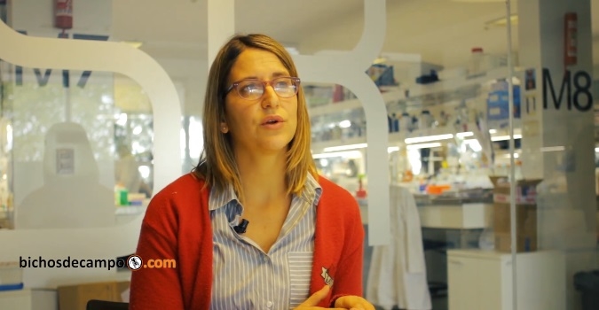 Granja Celular, el primer proyecto local para producir carne de laboratorio, pero aprovechando la tradición ganadera de la Argentina