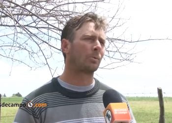 Claro y sencillo, Darío Miller explica por qué los pequeños productores necesitan usar los agroquímicos