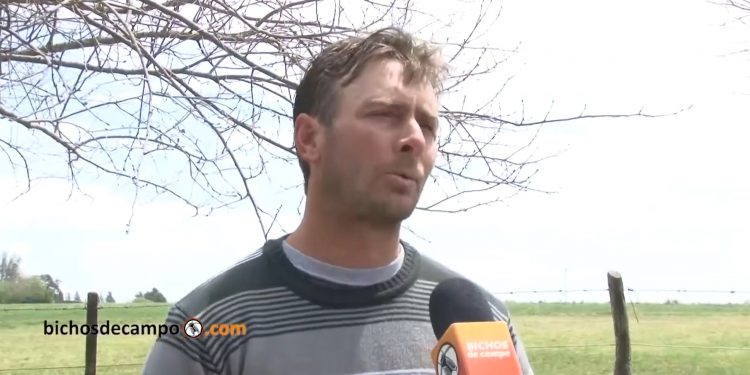 Claro y sencillo, Darío Miller explica por qué los pequeños productores necesitan usar los agroquímicos