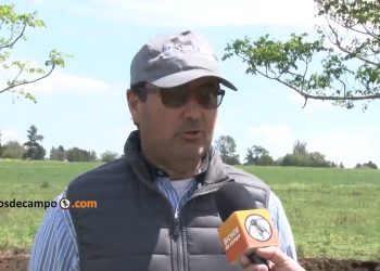 Fabio Schneider, productor de Entre Ríos: “Es absurdo, pero tener una escuela cerca ahora nos condena a desaparecer”