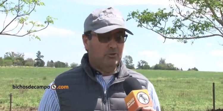 Fabio Schneider, productor de Entre Ríos: “Es absurdo, pero tener una escuela cerca ahora nos condena a desaparecer”