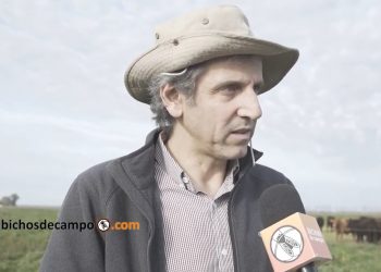 Gabriel Zadikian: Un economista que defiende con números el desempeño de la ganadería regenerativa