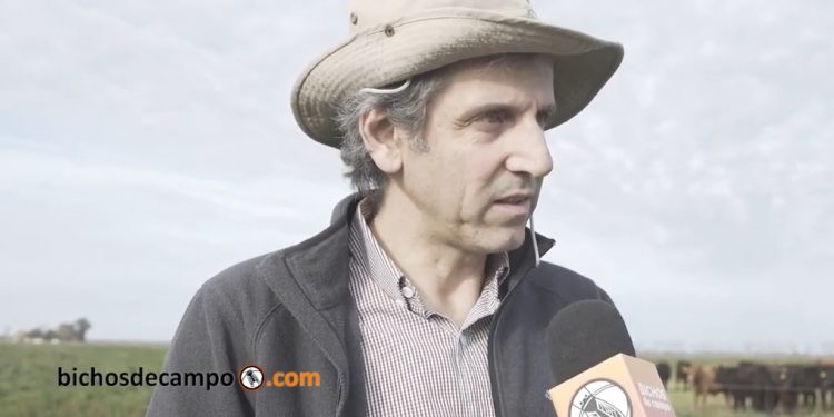 Gabriel Zadikian: Un economista que defiende con números el desempeño de la ganadería regenerativa