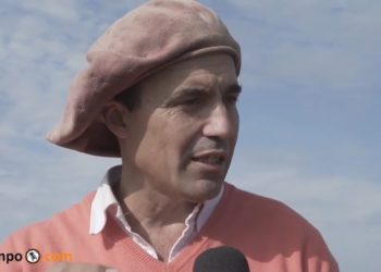 Gregorio Vasquetto hace ganadería regenerativa y saca 700 kilos de carne por hectárea