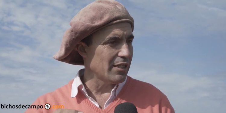 Gregorio Vasquetto hace ganadería regenerativa y saca 700 kilos de carne por hectárea