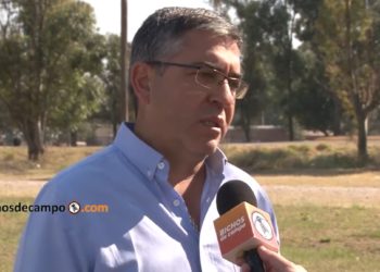 Lisandro de los Ríos, de Prograno: “El tren llegó a Salta, pero todavía no se nota una mejora en los costos”