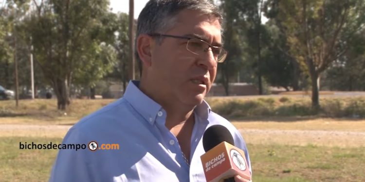 Lisandro de los Ríos, de Prograno: “El tren llegó a Salta, pero todavía no se nota una mejora en los costos”