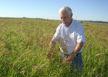 Roberto Casas: “Los problemas de erosión deben ser una cuestión de Estado. Faltan políticas, no herramientas”