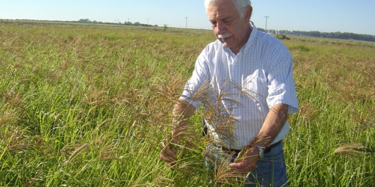 Roberto Casas: “Los problemas de erosión deben ser una cuestión de Estado. Faltan políticas, no herramientas”