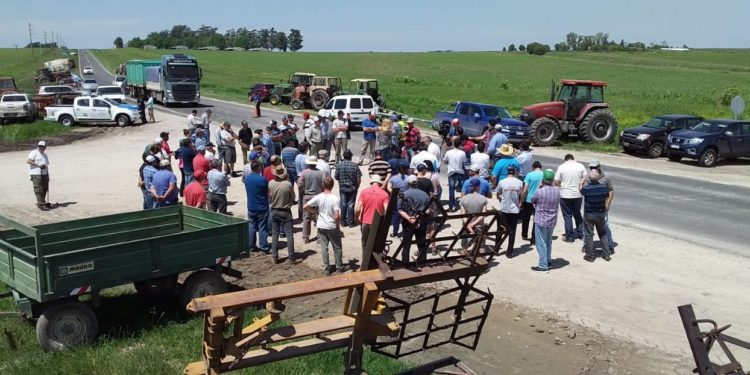 La justicia de Entre Ríos volvió a habilitar el uso de agroquímicos a una cuadra (y no un kilómetro) de las escuelas rurales