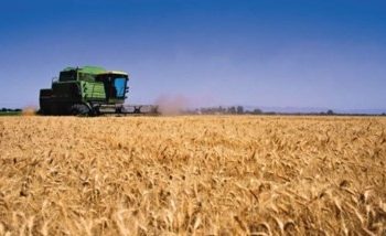 El mundo subsidia al agro, pero aquí el agro subsidió con casi 200 dólares anuales a cada habitante