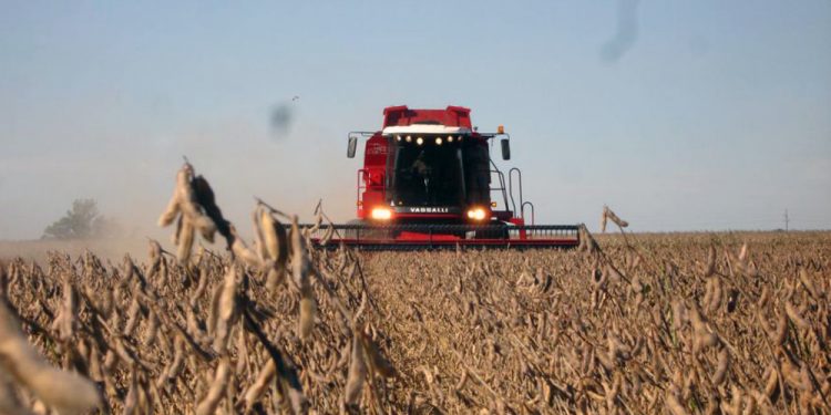 Aseguran que se pierden 6 millones de toneladas de soja por no fertilizar
