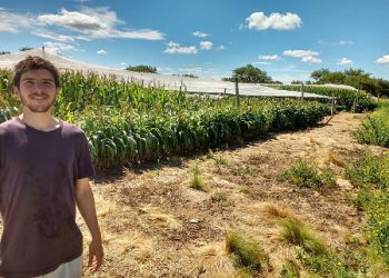 Ensayos agronómicos: Cómo hacer agricultura en el este semiárido de San Luis