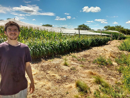 Ensayos agronómicos: Cómo hacer agricultura en el este semiárido de San Luis