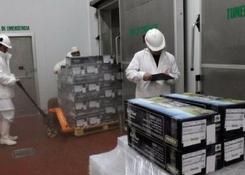 Y después no quieren que los puteen: Un frigorífico patagónico exportó carne con hueso a la Unión Europea