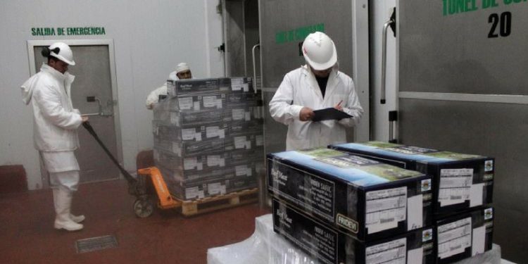 Y después no quieren que los puteen: Un frigorífico patagónico exportó carne con hueso a la Unión Europea