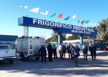 Más trabajo: El grupo Raffe reactivará el frigorífico Industrial de Mar del Plata