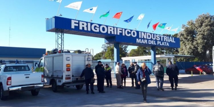 Más trabajo: El grupo Raffe reactivará el frigorífico Industrial de Mar del Plata