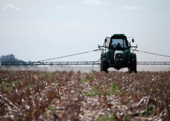 Por la prohibición judicial a los agroquímicos en Pergamino “no se podrán controlar tampoco las plagas urbanas, como cucarachas, alacranes y vinchucas”