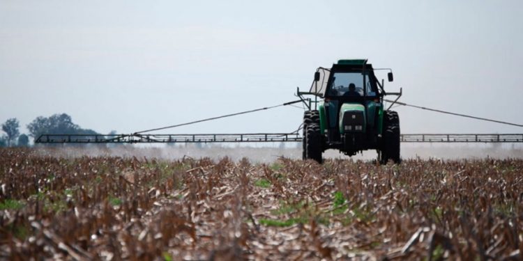 Por la prohibición judicial a los agroquímicos en Pergamino “no se podrán controlar tampoco las plagas urbanas, como cucarachas, alacranes y vinchucas”