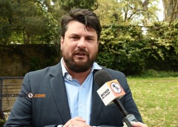 Una encuesta hizo una pregunta incómoda para los argentinos: ¿Probarías la carne cultivada en laboratorios?