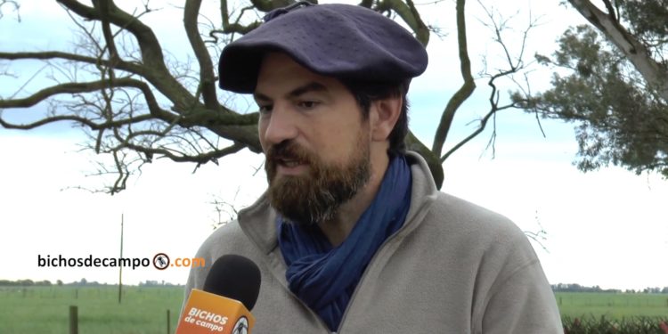 Hernán Mauro: La breve historia del productor que decidió volver a sentirse feliz