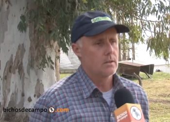 Hugo Heinze, productor de Entre Ríos: “Habrá que volver al arado, lo que implica volver a degradar la tierra”