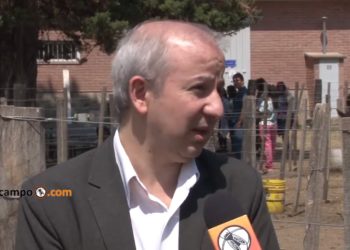 La revancha de los salteños: Javier Binda dirige la única Facultad de Veterinaria del Noroeste