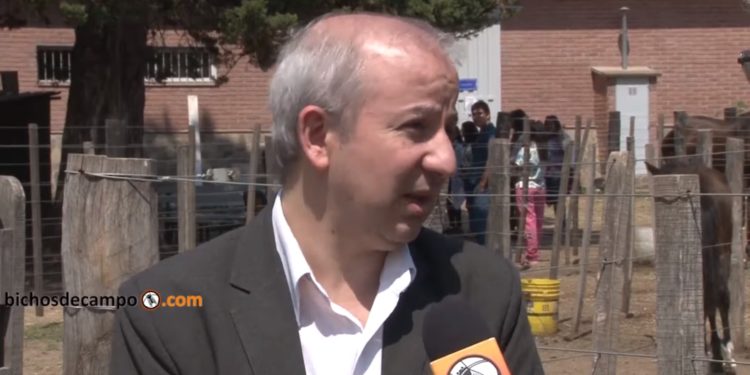 La revancha de los salteños: Javier Binda dirige la única Facultad de Veterinaria del Noroeste