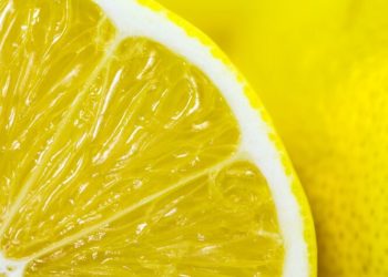 Al mal tiempo, buena cara: La temporada de limón fue bastante mala, pero el sector confía en tener revancha en 2020