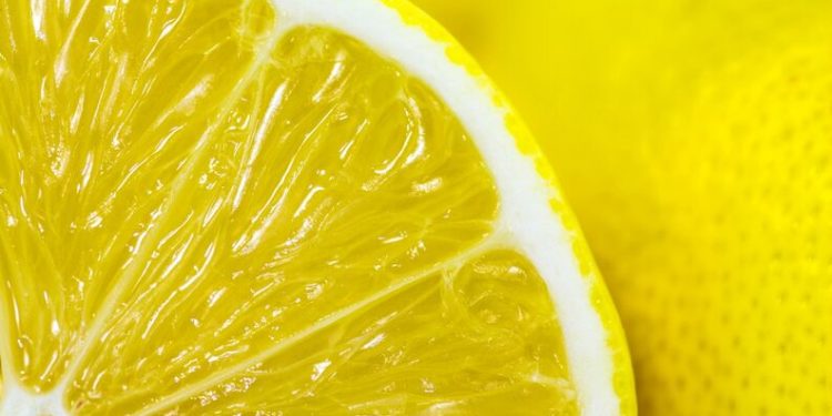 Al mal tiempo, buena cara: La temporada de limón fue bastante mala, pero el sector confía en tener revancha en 2020