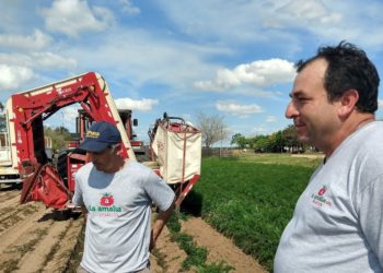 Los hermanos Saucedo suplican que se estabilice el dólar: Venden su zanahoria al mismo valor en pesos desde hace tres años