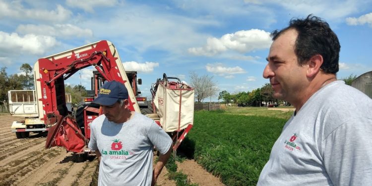 Los hermanos Saucedo suplican que se estabilice el dólar: Venden su zanahoria al mismo valor en pesos desde hace tres años