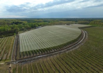 En el Alto Valle de Río Negro ya hay 80 hectáreas cubiertas con mallas antigranizo