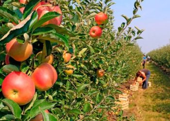 A horas de las elecciones, CAME reclamó “rentabilidad para las economíaas regionales” y se mostró a favor de un pacto social