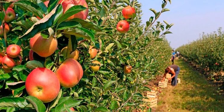 A horas de las elecciones, CAME reclamó “rentabilidad para las economíaas regionales” y se mostró a favor de un pacto social