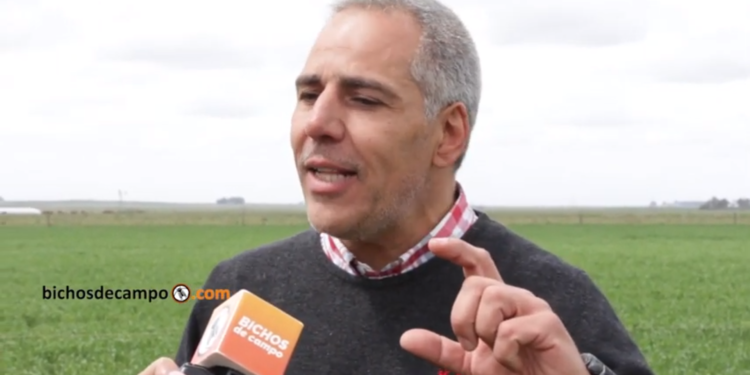 Luego de ocho años de ensayos, el INTA mostró los resultados económicos de la agroecología