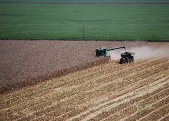 Según un estudio del INTA, en la Argentina hay 100 millones de hectáreas afectadas por la erosión