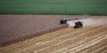 Según un estudio del INTA, en la Argentina hay 100 millones de hectáreas afectadas por la erosión