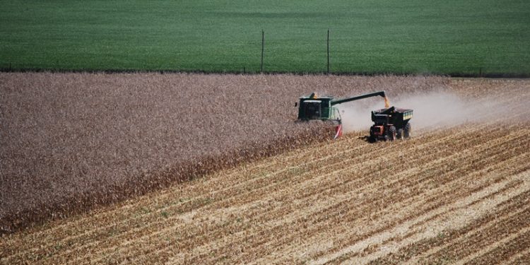 Según un estudio del INTA, en la Argentina hay 100 millones de hectáreas afectadas por la erosión