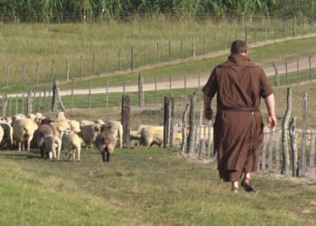 El caso Padre Lamy: Un grupo de 44 profesionales participa de un proyecto de reconversión forzada en Entre Ríos