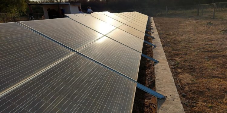 Cansado de no tener servicio eléctrico, un productor salteño montó un parque solar que incluso alimenta el riego por goteo