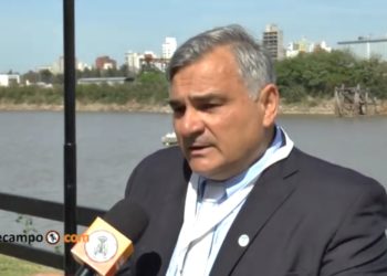 En tiempos de diversidad, las extrusoras siguen batallando para que se las reconozca como “algo distinto” de las grandes aceiteras