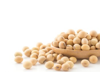 Macri termina su gobierno con una de las más bajas presiones fiscales sobre el sector agrícola