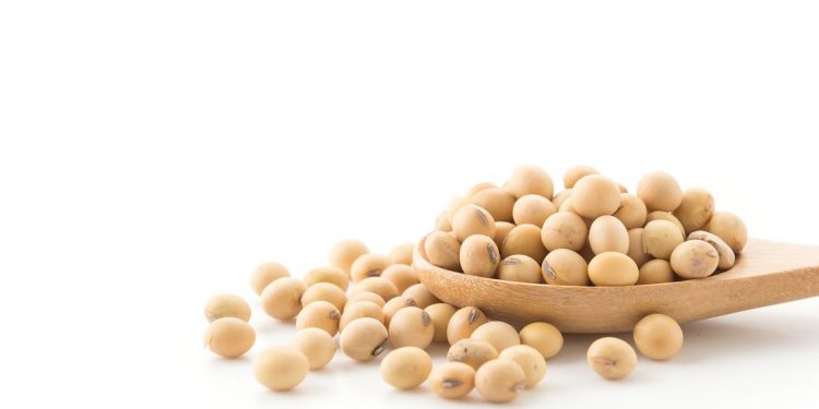 Macri termina su gobierno con una de las más bajas presiones fiscales sobre el sector agrícola