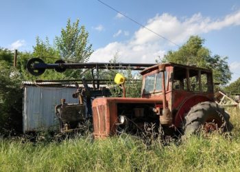 Crean un “Programa Nacional” para llenar el vacío informativo que existe sobre los cultivos hortícolas