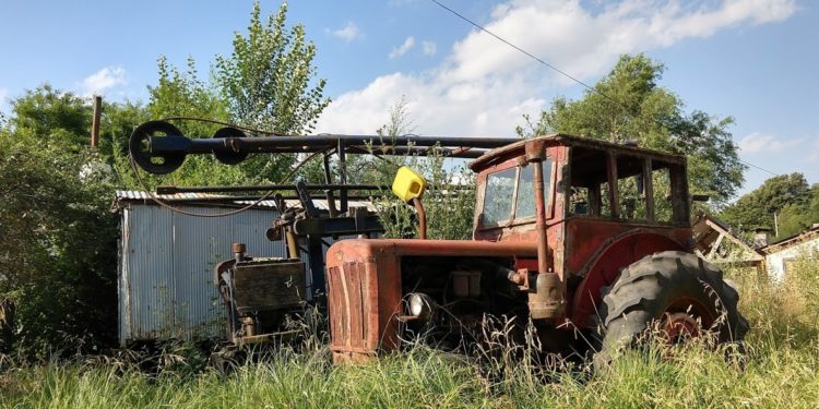 Crean un “Programa Nacional” para llenar el vacío informativo que existe sobre los cultivos hortícolas
